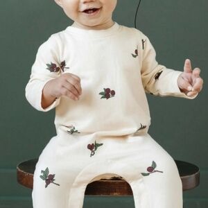The Blueberry Hill Baby Long Sleeve Plum Romper Onesie Jumper 6-12 Months Unisex